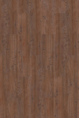 Mflor Argyll Fir Serrano 75190 Mflor Argyll Fir Serrano 75190