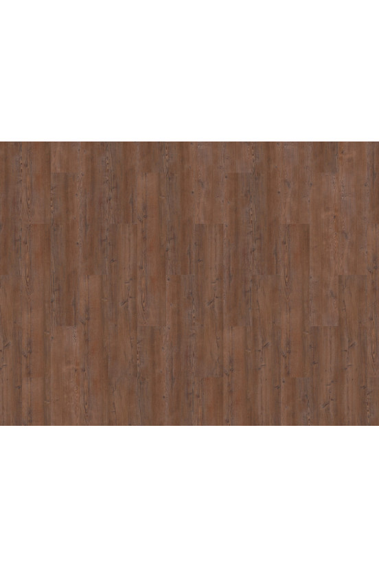 Mflor Argyll Fir Serrano 75190 Mflor Argyll Fir Serrano 75190