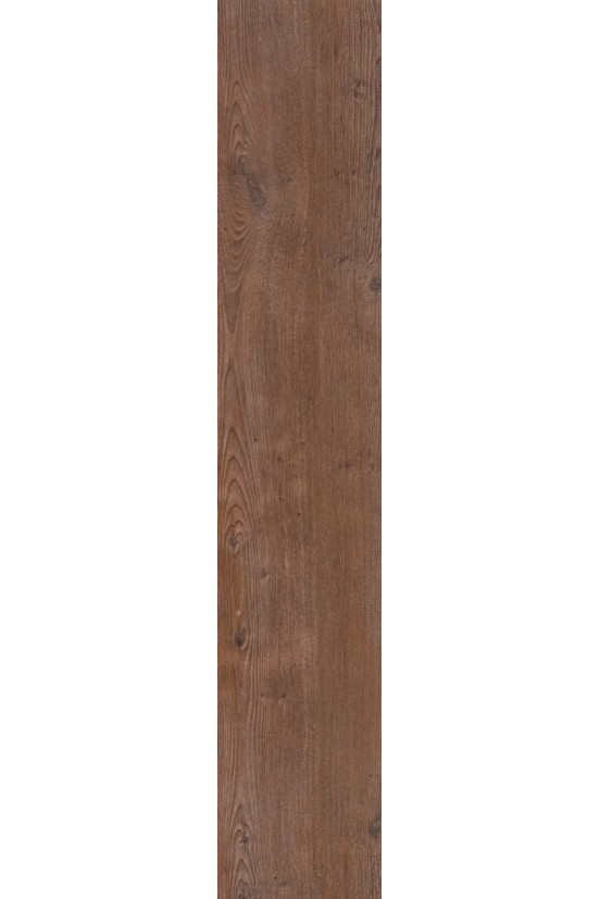 Mflor Argyll Fir Serrano 75190 Mflor Argyll Fir Serrano 75190
