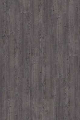 Mflor Argyll Fir Montrose 75115