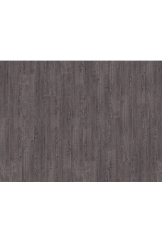 Mflor Argyll Fir Montrose 75115 Mflor Argyll Fir Montrose 75115