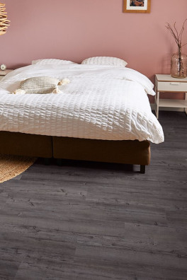 Mflor Argyll Fir Montrose 75115 Mflor Argyll Fir Montrose 75115