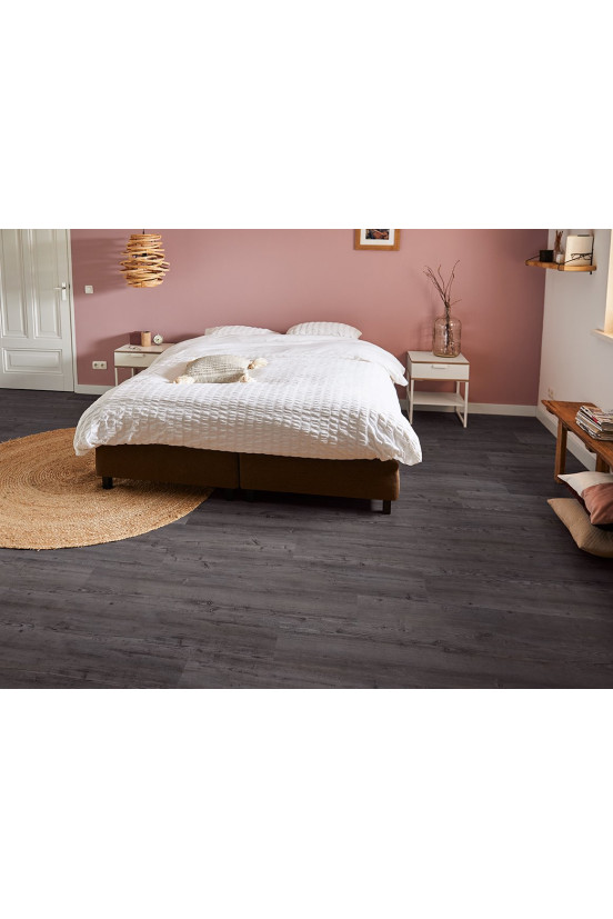 Mflor Argyll Fir Montrose 75115 Mflor Argyll Fir Montrose 75115
