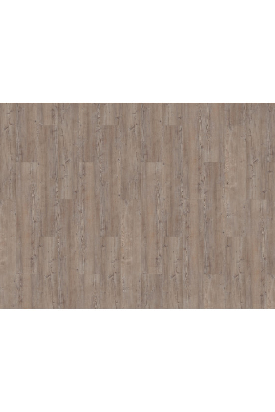 Mflor Argyll Fir Greyfairs 75110 Mflor Argyll Fir Greyfairs 75110