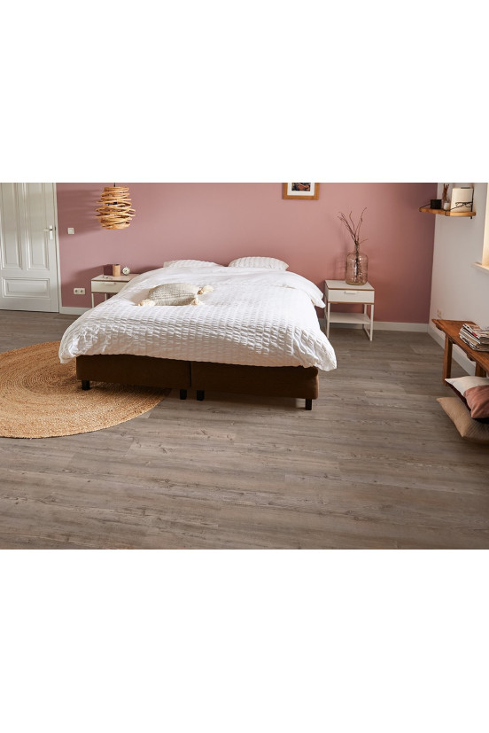 Mflor Argyll Fir Greyfairs 75110 Mflor Argyll Fir Greyfairs 75110