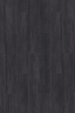 Mflor Argyll Fir Glenmuir 75111