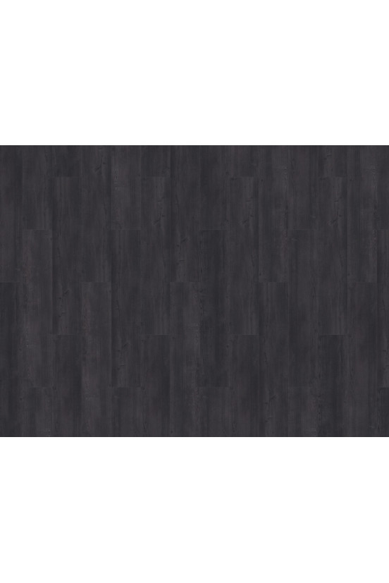 Mflor Argyll Fir Glenmuir 75111 Mflor Argyll Fir Glenmuir 75111
