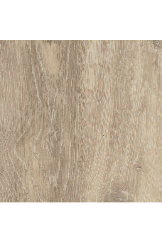 Mflor Authentic Oak XL Sardinia 56319 Mflor Authentic Oak XL Sardinia 56319