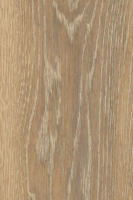 Mflor Authentic Oak XL Piedmont 56314 Mflor Authentic Oak XL Piedmont 56314