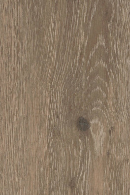 Mflor Authentic Oak XL Lombardia 56317 Mflor Authentic Oak XL Lombardia 56317