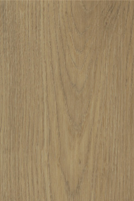 Colton Ralph 62335 Colton Ralph 62335