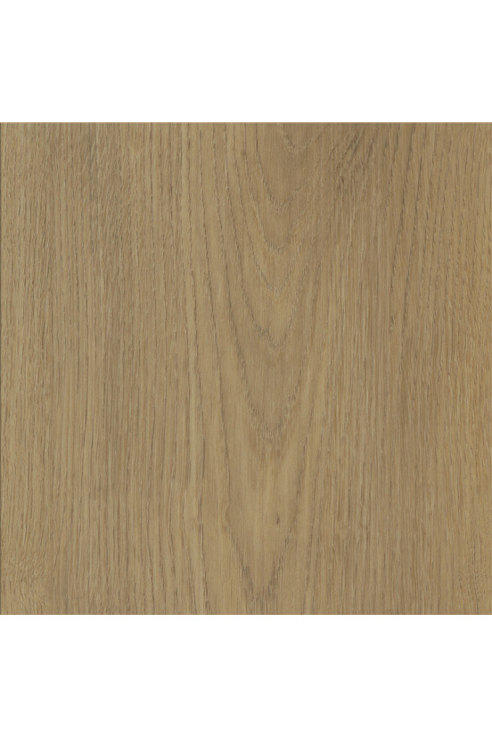 Colton Ralph 62335 Colton Ralph 62335
