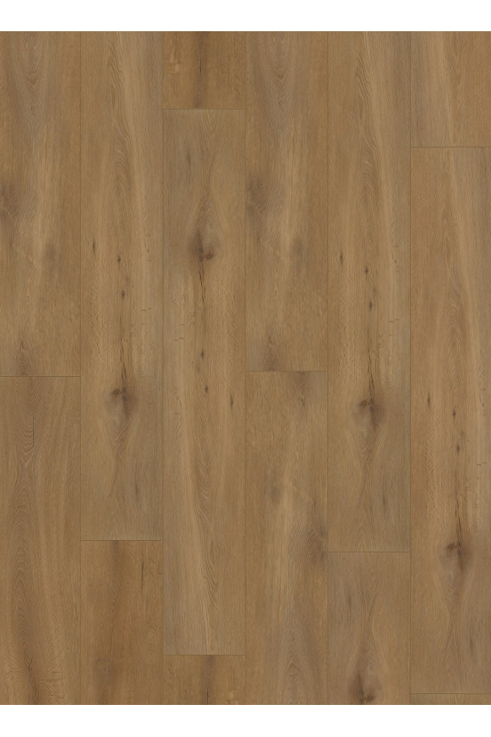 Callisto 4100 (dryback) Natural Oak Dark Callisto 4100 (dryback) Natural Oak Dark