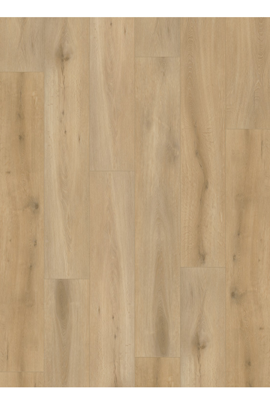 Callisto 4101 (dryback) Natural Oak Light