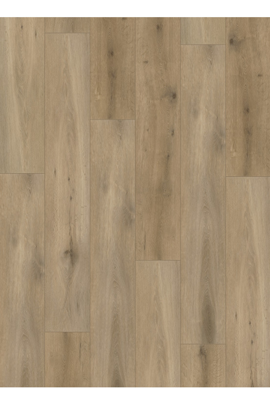 Callisto 4103 (dryback) Natural Oak Smoked Callisto 4103 (dryback) Natural Oak Smoked