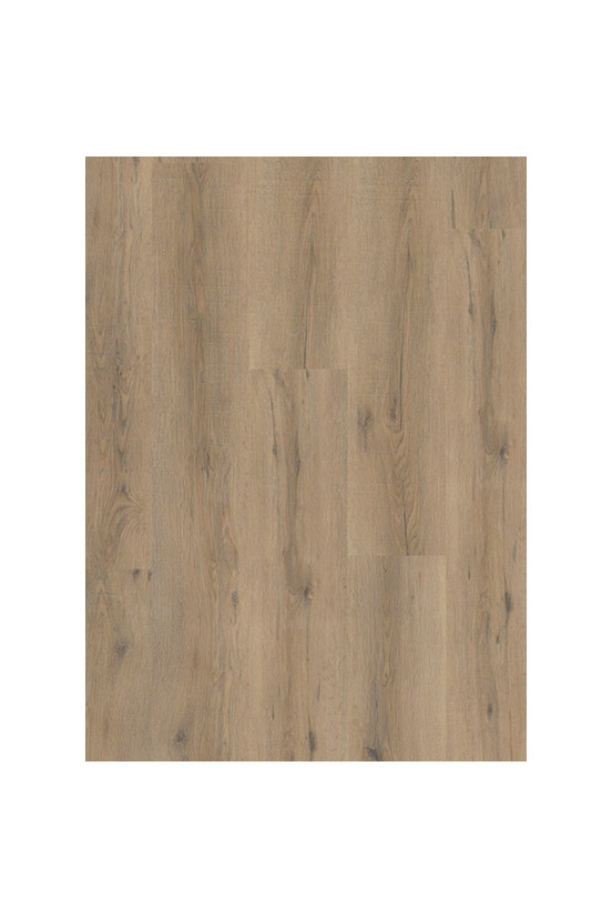 Gelasta City 4600 (dryback) Smoked Oak Light Gelasta City 4600 (dryback) Smoked Oak Light