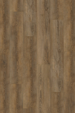 Gelasta City 4604 (dryback) Olympia Pine Natural