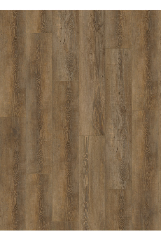 Gelasta City 4604 (dryback) Olympia Pine Natural Gelasta City 4604 (dryback) Olympia Pine Natural