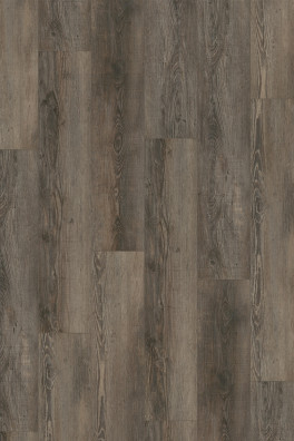 Gelasta City 4605 (dryback) Olympia Pine Brown