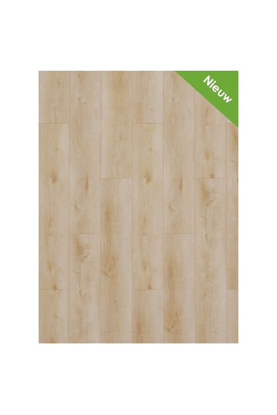 Gelasta Dynamic 2500 (dryback) Natural light Gelasta Dynamic 2500 (dryback) Natural light