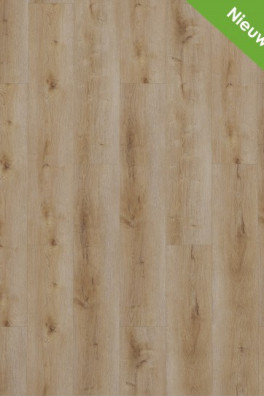 Dynamic 2501 (dryback) Natural smoked