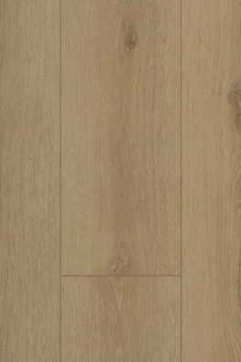 Firmfit 6501 (dryback) Sierra Beige