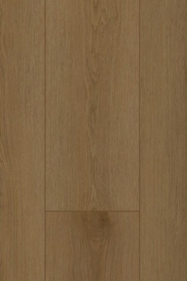 Firmfit 6503 (dryback) Sierra Brown