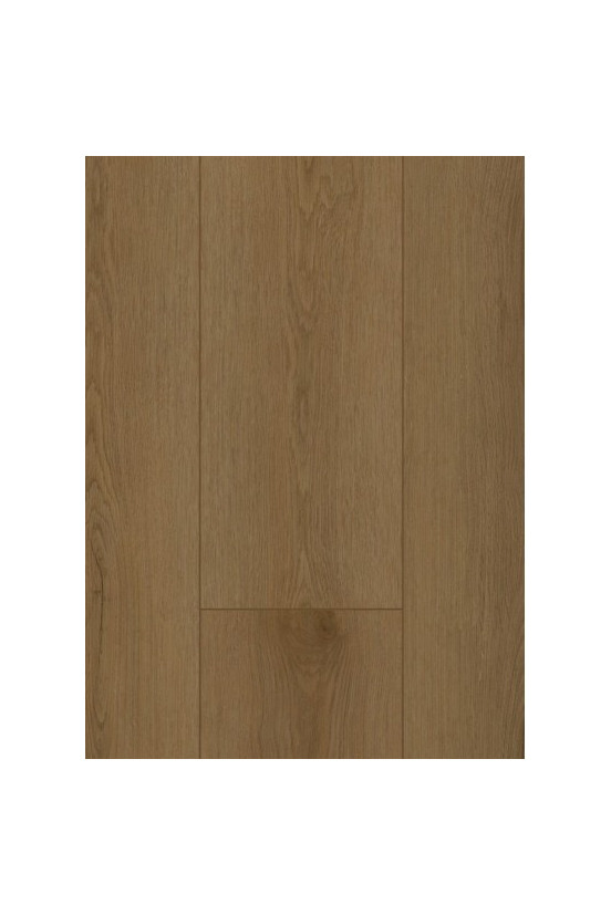 Firmfit 6503 (dryback) Sierra Brown