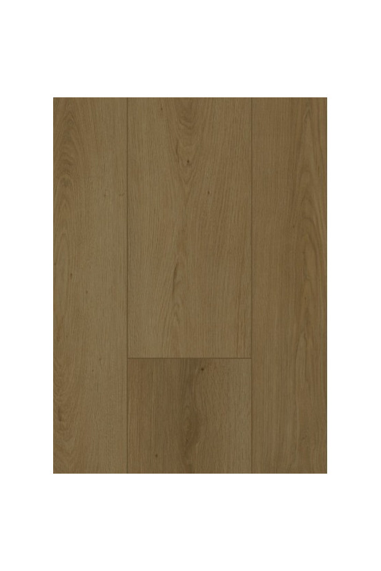 Firmfit 6702 (dryback) Summerfield Cinnamon Firmfit 6702 (dryback) Summerfield Cinnamon