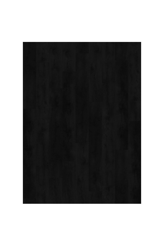 Nevada 6003 (dryback) Valley Oak Charcoal
