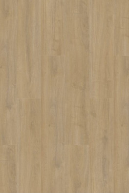 Gelasta Oakland 6100 (dryback) Lime
