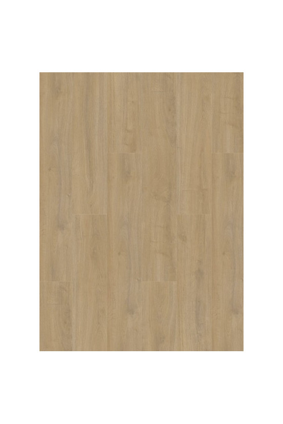 Gelasta Oakland 6100 (dryback) Lime