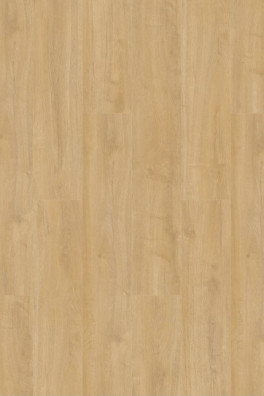 Oakland 6102 (dryback) Desert