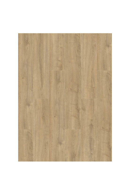 Oakland 6104 (dryback) Smoked Oakland 6104 (dryback) Smoked