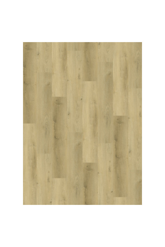 Vario 4904 (dryback) Prestige Oak Light Vario 4904 (dryback) Prestige Oak Light
