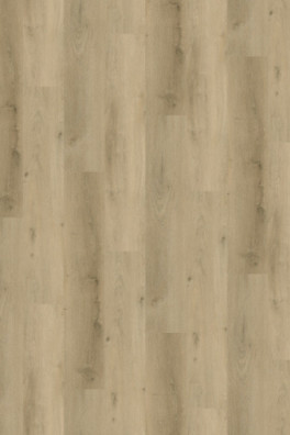 Vario 4905 (dryback) Prestige Oak Smoked Light