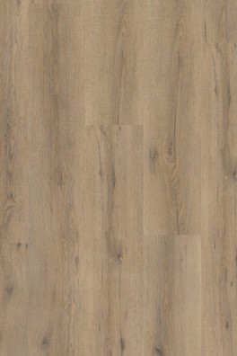 Gelasta City 5600 (rigid click) Smoked Oak Light