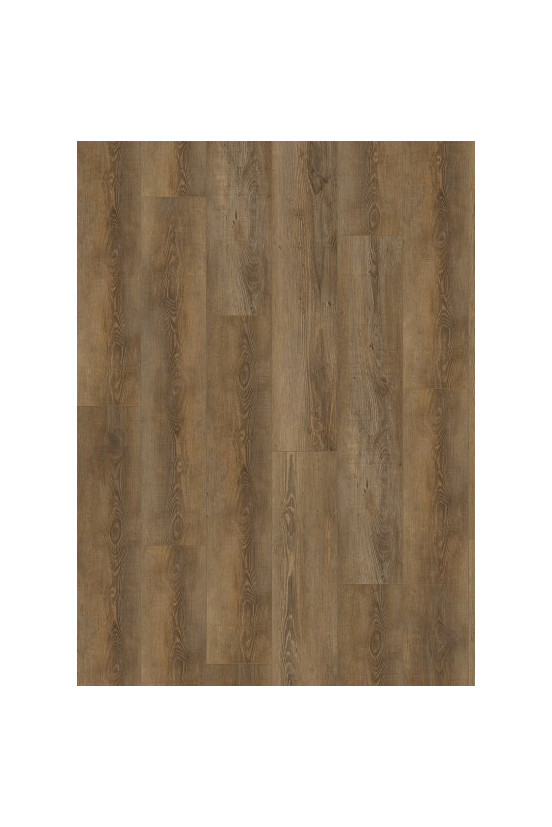 Gelasta City 5604 (rigid click) Olympia Pine Natural