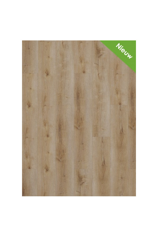 Gelasta Dynamic 3501 (rigid click) Natural smoked Gelasta Dynamic 3501 (rigid click) Natural smoked