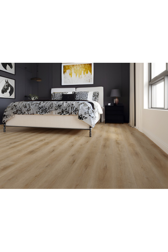 Gelasta Dynamic 3501 (rigid click) Natural smoked Gelasta Dynamic 3501 (rigid click) Natural smoked
