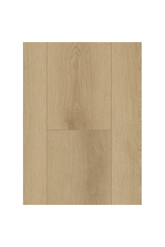 Firmfit Silent 7500 (rigid click) Sierra Light