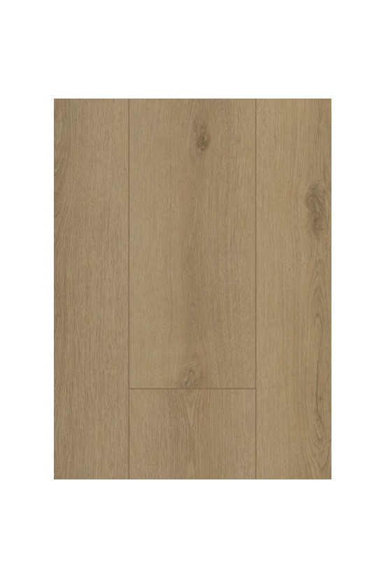 Firmfit Silent 7501 (rigid click) Sierra Beige Firmfit Silent 7501 (rigid click) Sierra Beige