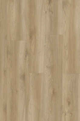 LayRed Sierra Oak 58847 EIR