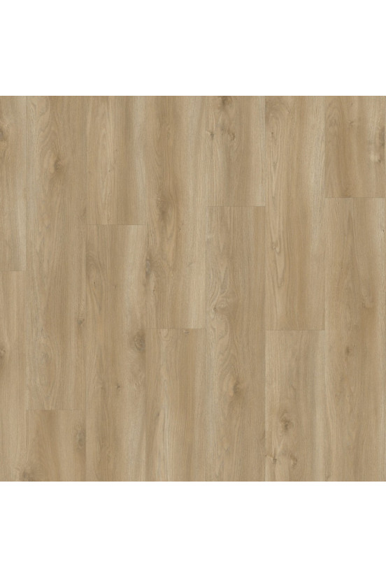 LayRed Sierra Oak 58847 EIR