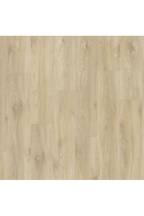 LayRed Sierra Oak 58268 EIR