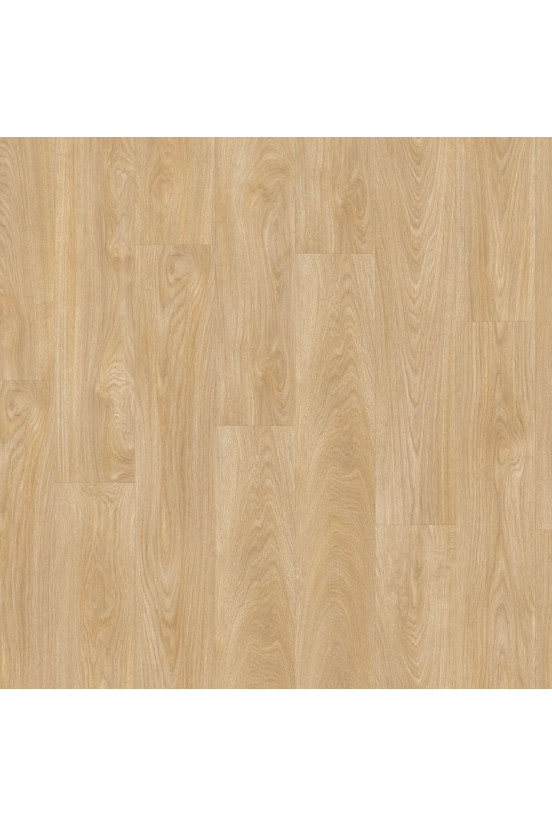 Roots 55 EIR Laurel Oak XL 51282 Roots 55 EIR Laurel Oak XL 51282