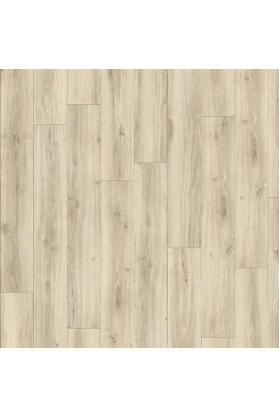 Roots Classic Oak 24228 Roots Classic Oak 24228