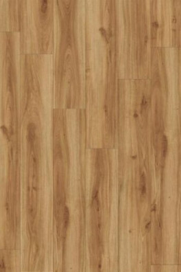 Roots Classic Oak 24235
