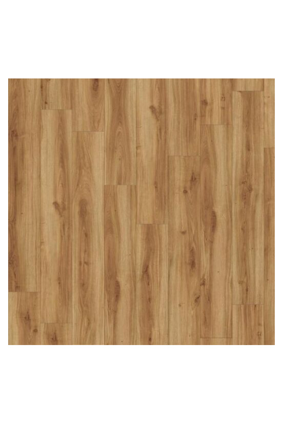 Roots Classic Oak 24235 Roots Classic Oak 24235