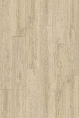 Roots 55 Blackjack Oak 22215